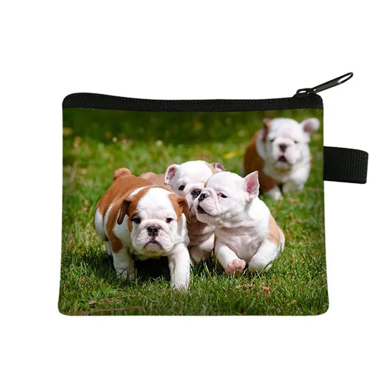 Leuke Bloemen Bulldog Print Po - Men Fashion Kids recensie en prijs